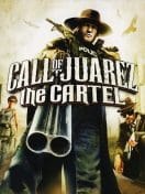 CALL OF JUAREZ THE CARTEL