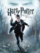 HARRY POTTER AND THE DEATHLY HALLOWS PART 1