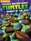 NINJA TURTLES TEENAGE MUTANT DANGER OF THE OOZE