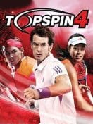 TOP SPIN 4
