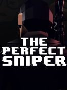 THE PERFECT SNIPER VR